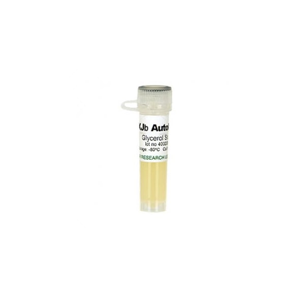 Zymo Research XJb Autolysis, w/1 Glycerol Stock & 1 ml 500X LArabinose